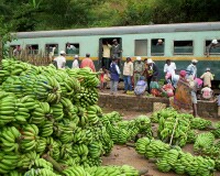 Train pour Fianarantsoa, Madagascar