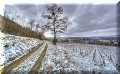 Château-Chalon - 25/01/2015 - 10:24