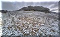 Château-Chalon - 25/01/2015 - 10:32