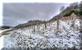 Château-Chalon - 25/01/2015 - 11:07