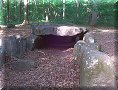 Forêt de Carnelle - 05/05/2011 - 17:44