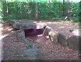 Forêt de Carnelle - 05/05/2011 - 17:47