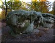 Ile de France - Forêt de Fontainebleau - 31/10/2011 - 16:54 - L'éléphant d'Apremont.