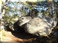 Forêt de Fontainebleau - 31/10/2011 - 14:37