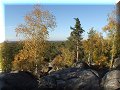Forêt de Fontainebleau - 31/10/2011 - 15:30