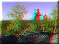 Forêt de Fontainebleau - 31/10/2011 - 15:30 Forêt de Fontainebleau - 31/10/2011 - 15:30