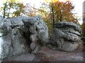 Forêt de Fontainebleau - 31/10/2011 - 16:48