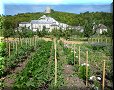 La Roche-Guyon - 31/07/2011 - 05:52