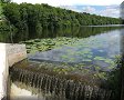 Étangs de Commelles - 29/07/2012 - 12:43