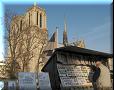 Paris - Notre Dame - 24/02/2008 - 16:57 - Bouquinistes sur le Quai de Montebello.