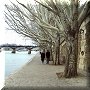 La Seine - 06/01/2019 - 13:22