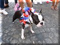 Cliquer pour ouvrir l'applet Cliquer pour ouvrir l'applet