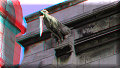 Montmartre - 10/02/2018 - 13:48 Montmartre - 10/02/2018 - 13:48