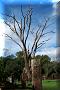 San Ignacio Miní - 05/05/2001 - 13:40