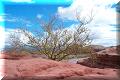 Quebrada de Cafayate - 11/05/2001 - 11:37