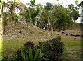 Corozal - 10/04/2008 - 08:54