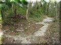 Corozal - 10/04/2008 - 09:02