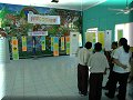 Corozal - 10/04/2008 - 10:50