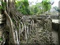 Lamanai - 11/04/2008 - 13:04