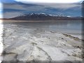 Bolivie - Laguna Blanca - 11/05/2015 - 11:09