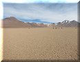 Bolivie - Desierto Salvador Dalí - 11/05/2015 - 13:29
