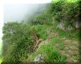 Chemin Royal de Guane - 25/06/2011 - 09:01