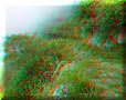 Chemin Royal de Guane - 25/06/2011 - 09:01 Chemin Royal de Guane - 25/06/2011 - 09:01