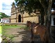 Guane - 25/06/2011 - 11:43
