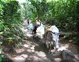 Tayrona - 29/06/2011 - 10:45