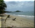 Tayrona - 29/06/2011 - 12:45