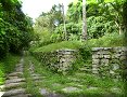 Tayrona - 29/06/2011 - 15:32