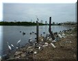 Cartagena de Indias - 01/07/2011 - 12:13