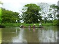 Mompox - 03/07/2011 - 09:50