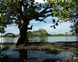 Mompox - 03/07/2011 - 16:00