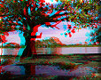 Mompox - 03/07/2011 - 16:00