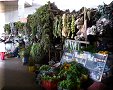Manizales - 07/07/2011 - 16:18