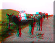 Los Nevados - 08/07/2011 - 09:23