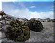 Los Nevados - 08/07/2011 - 10:34