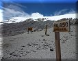 Los Nevados - 08/07/2011 - 12:16
