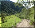 Vallée de Cocora - 10/07/2011 - 09:43