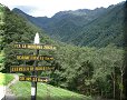 Vallée de Cocora - 10/07/2011 - 12:25