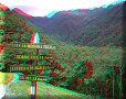 Vallée de Cocora - 10/07/2011 - 12:25