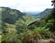 Vallée de Cocora - 10/07/2011 - 13:02