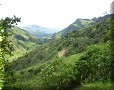 Vallée de Cocora - 10/07/2011 - 13:25