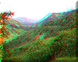 Vallée de Cocora - 10/07/2011 - 13:25