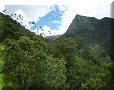 Vallée de Cocora - 10/07/2011 - 13:25