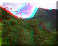 Vallée de Cocora - 10/07/2011 - 13:25