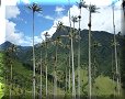 Vallée de Cocora - 10/07/2011 - 13:36