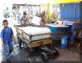 Puerto La Libertad - Le marché aux poissons - 20/04/2006 - 08:43