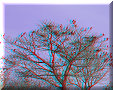 Suchitoto - 07/04/2006 - 15:47 Suchitoto - 07/04/2006 - 15:47